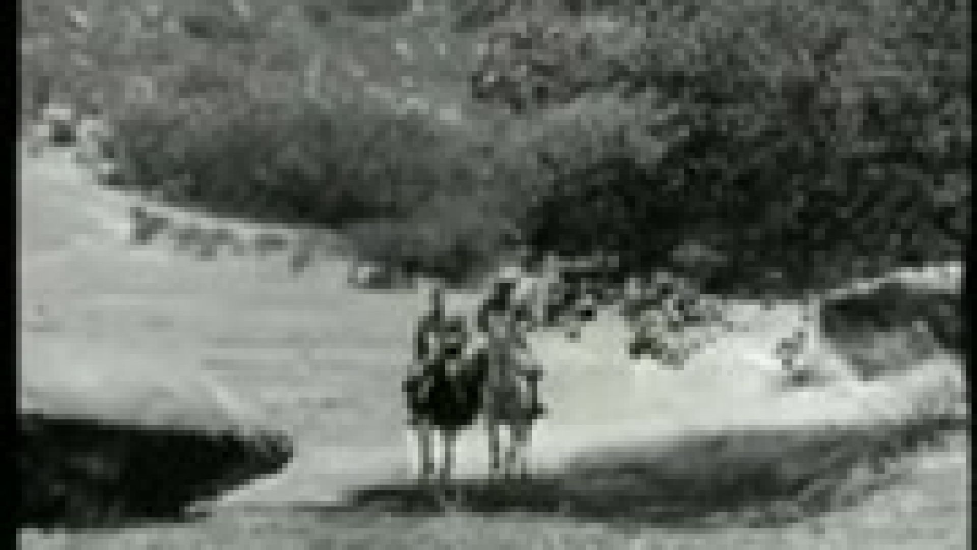 ⁣Lone Ranger