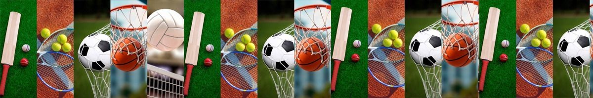 Sports Wise